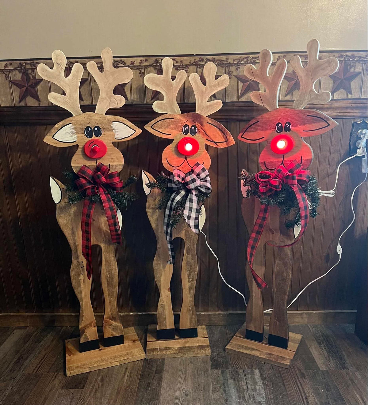Lighted Reindeer Class