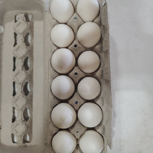 Eggs, white