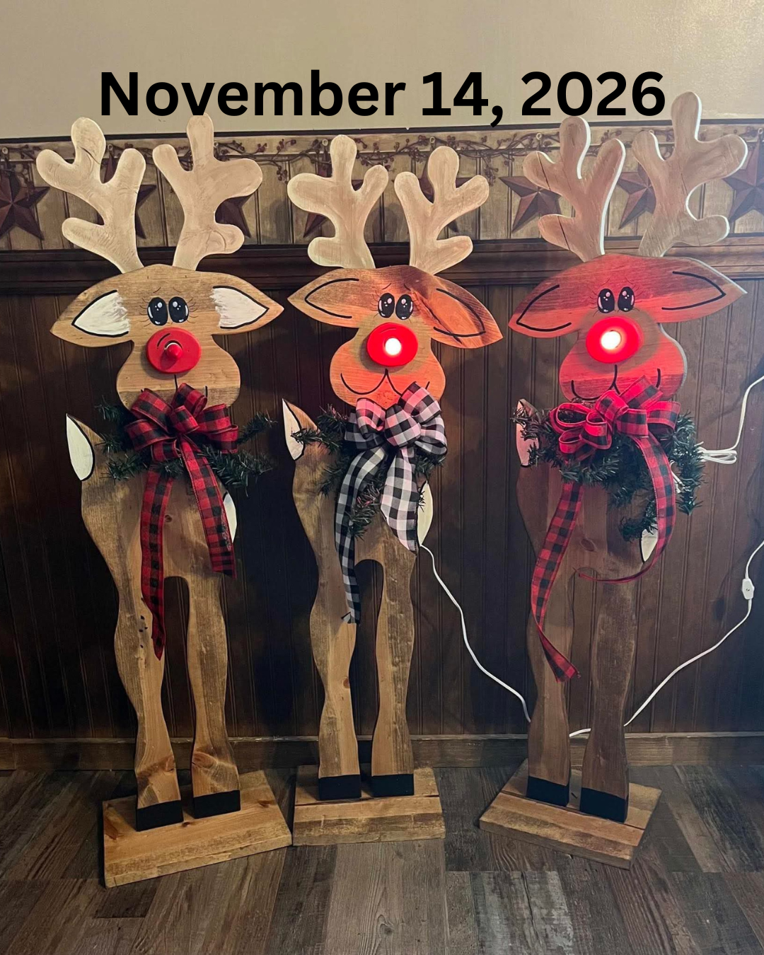 Lighted Reindeer Class