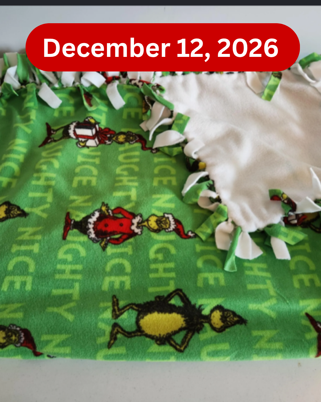 Cozy No-Sew Fleece Blanket Make & Take Workshop 🧣❄️