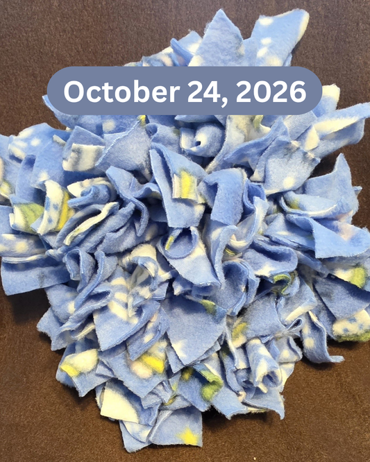 Snuffle Mat Class